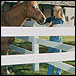 Post and Rail Vinyl Fence Systems